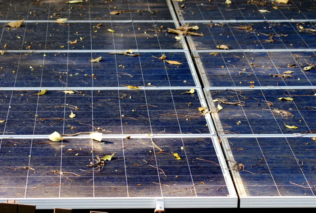 dirty solar panels in Leura